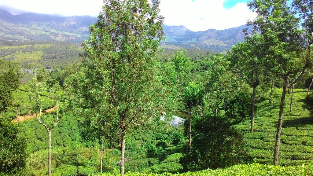 Ferndale Homestay Текади Екстериор снимка